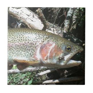 Rainbow trout tile