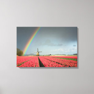 Rainbow, tulips and windmill canvas