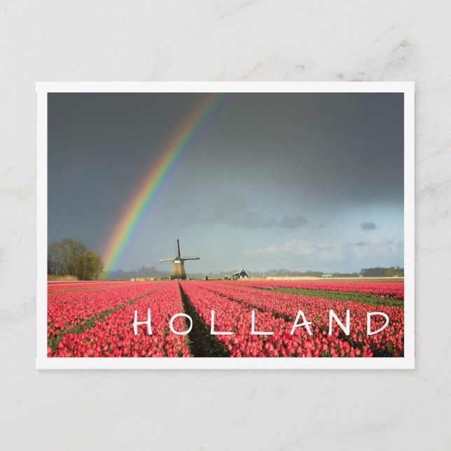 Rainbow, tulips and windmill Holland text postcard (Front)