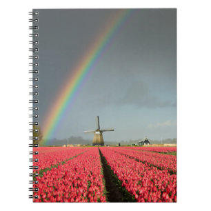 Rainbow, tulips and windmill notebook