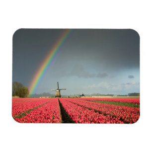 Rainbow, tulips and windmill rectangular magnet
