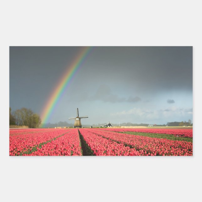 Rainbow, tulips and windmill rectangular sticker (Front)