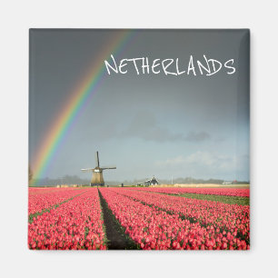 Rainbow, tulips and windmill text magnet