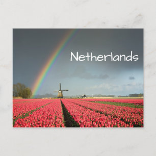Rainbow, tulips and windmill text postcard