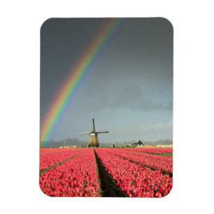 Rainbow, tulips and windmill vertical magnet