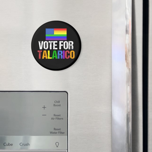 Rainbow Vote for Talarico 2026 Election Magnet (In Situ (Fridge))