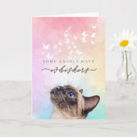 Rainbow Whiskers Siamese Cat Loss Sympathy