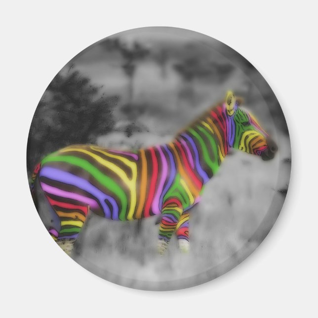 Rainbow Zebra Magnet (Front)
