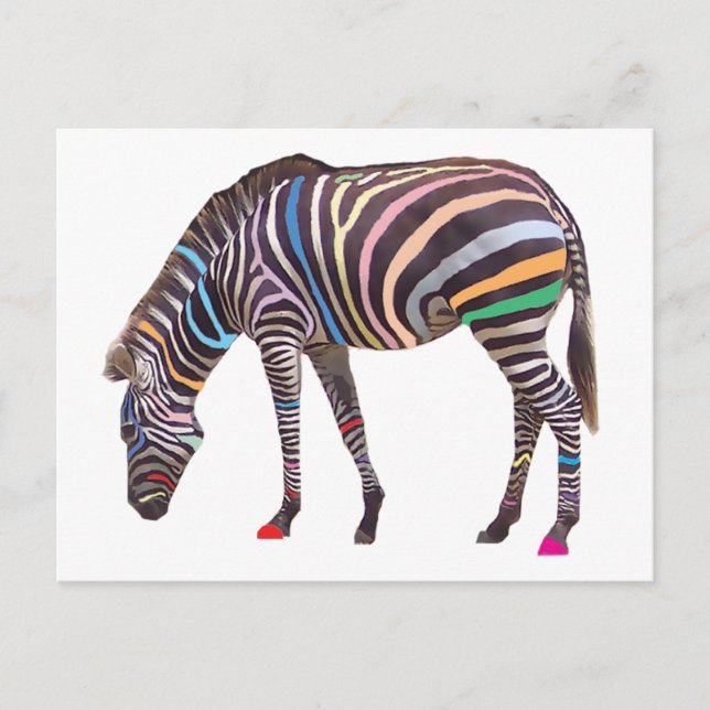 Rainbow Zebra Postcard (Front)