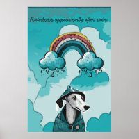 Rainbows Appear Only After Rain