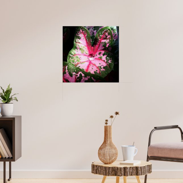Raindrop on caladium poster / wall art (Living Room 3)