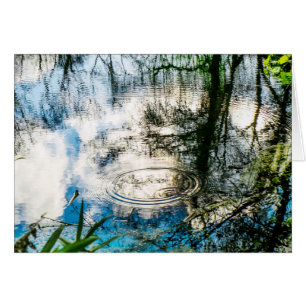 Raindrop Ripples