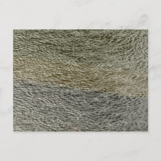 Raindrop Ripples Abstract Nature Photography Postcard