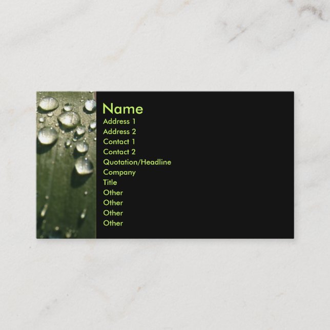 Raindrop Shadows Business Card (Front)