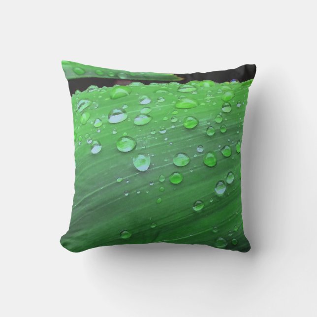 Raindrops Closeup Cushion (Front)