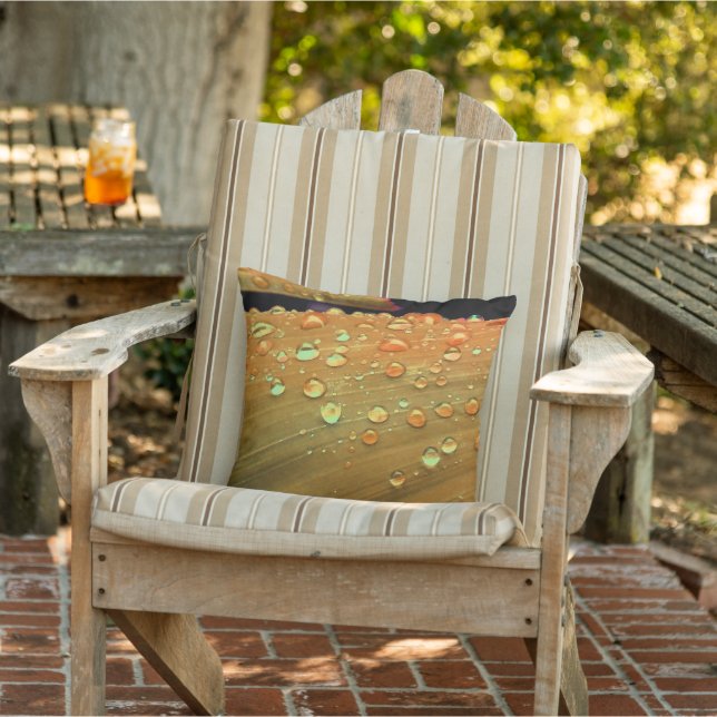 Raindrops Closeup, Spacey Rust Orange Cushion (Chair)