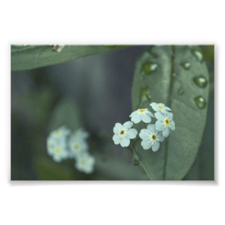 Raindrops Keep Falling Photo Print