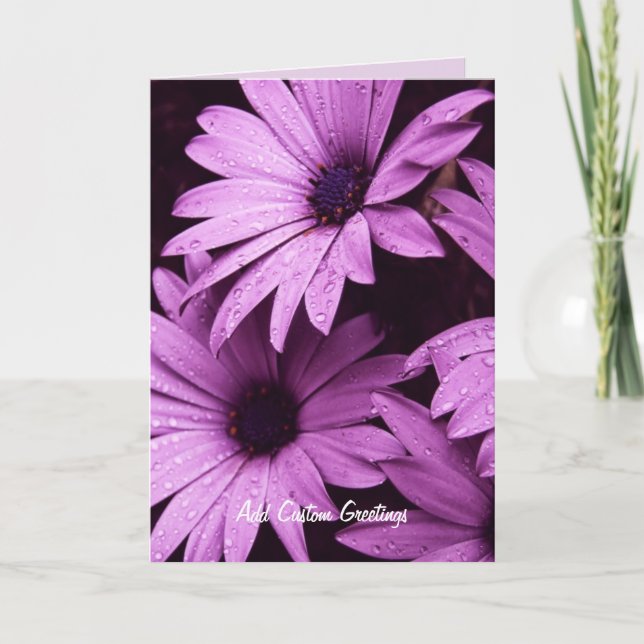 Raindrops Lilac Daisy Flower Custom Card (Front)