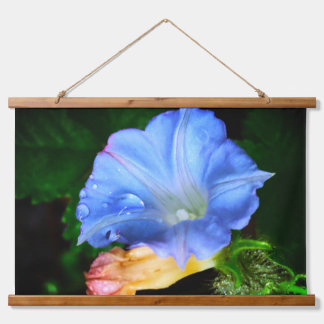 Raindrops on a Morning Glory Hanging Tapestry