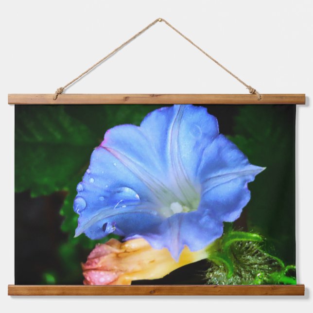 Raindrops on a Morning Glory Hanging Tapestry (Front)