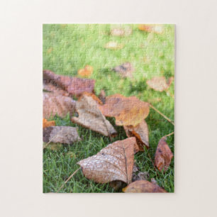 Raindrops on Autumn Leaves Regent's Park London Jigsaw Puzzle