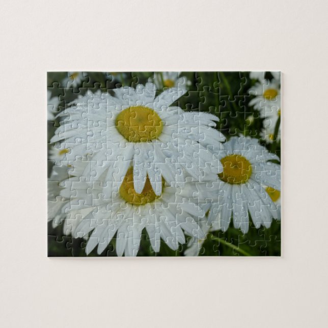 Raindrops on Daisies Wildflower Floral Jigsaw Puzzle (Horizontal)