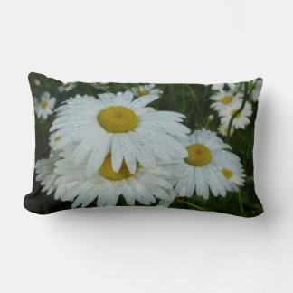 Raindrops on Daisies Wildflower Floral Lumbar Cushion