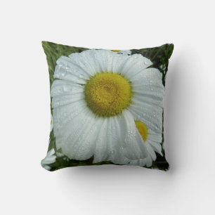Raindrops on Daisy I Wildflower Floral Cushion