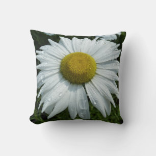 Raindrops on Daisy II Wildflower Floral Cushion