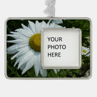 Raindrops on Daisy II Wildflower Floral Silver Plated Framed Ornament