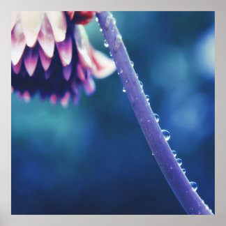 Raindrops on Flower Stem Macro Abstract Poster