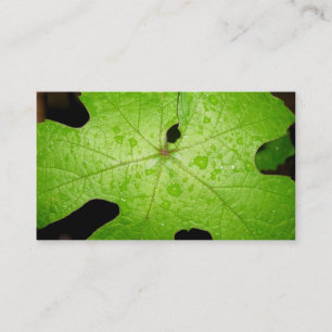 Raindrops on Grape Leaf Business Card