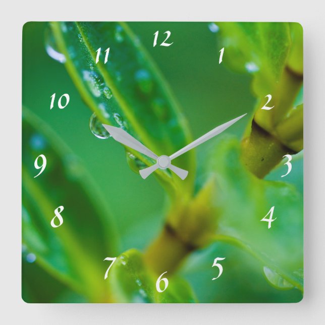 Raindrops on green leaves Acrylic wall clock (Front)