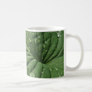 Raindrops on Hosta Leaf Mug
