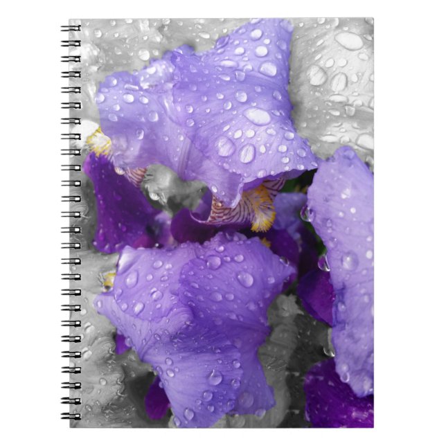 raindrops on iris spiral notebook (Front)