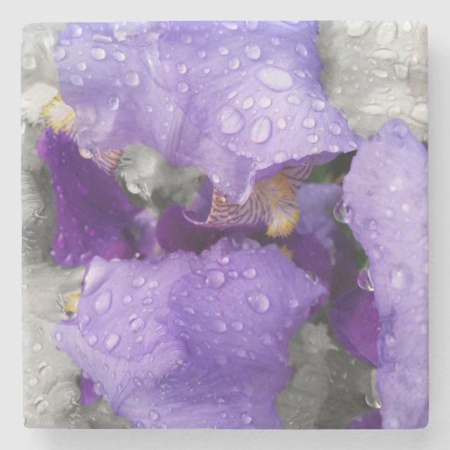 raindrops on iris stone coaster (Front)