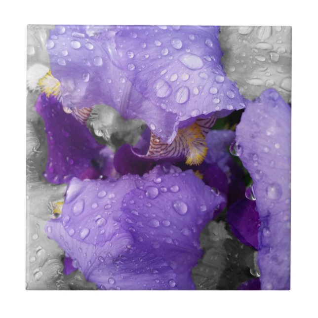 raindrops on iris tile (Front)