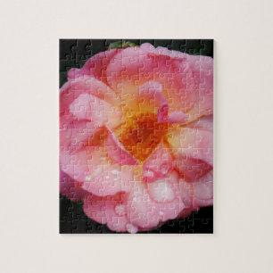 Raindrops on Pink Rose Flower Photo Jigsaw Puzzle
