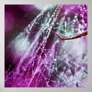 Raindrops on Purple Cobweb Macro Abstract Poster