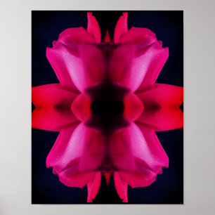 Raindrops On Red Rosebud Abstract Poster