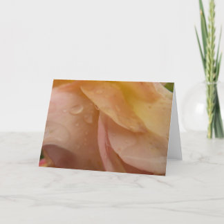 Raindrops on Rose Petals Pink Peach Floral Card