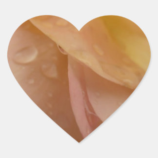 Raindrops on Rose Petals Pink Peach Floral Heart Sticker