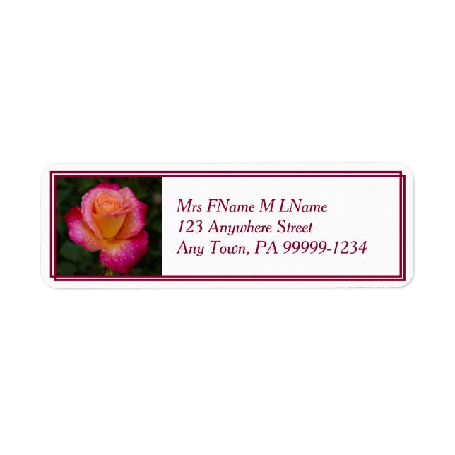 Raindrops On Roses (Front)