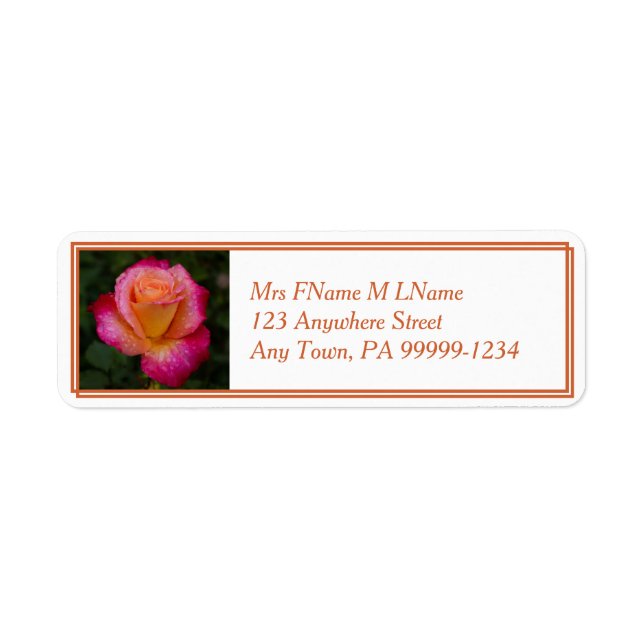 Raindrops On Roses (Front)