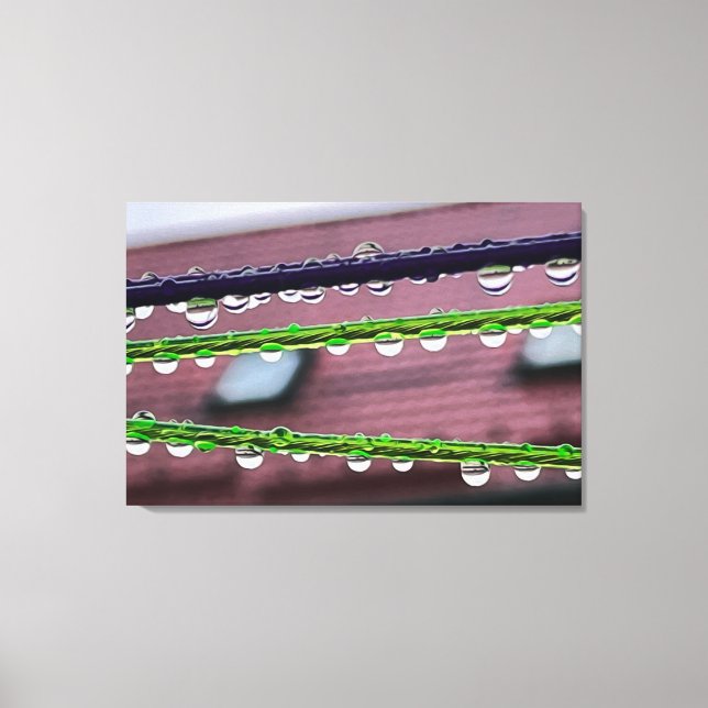 Raindrops on strings canvas print (Front)