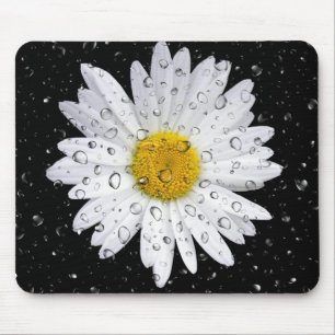 raindrops on white daisy mouse pad