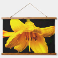 Raindrops on Yellow Lily