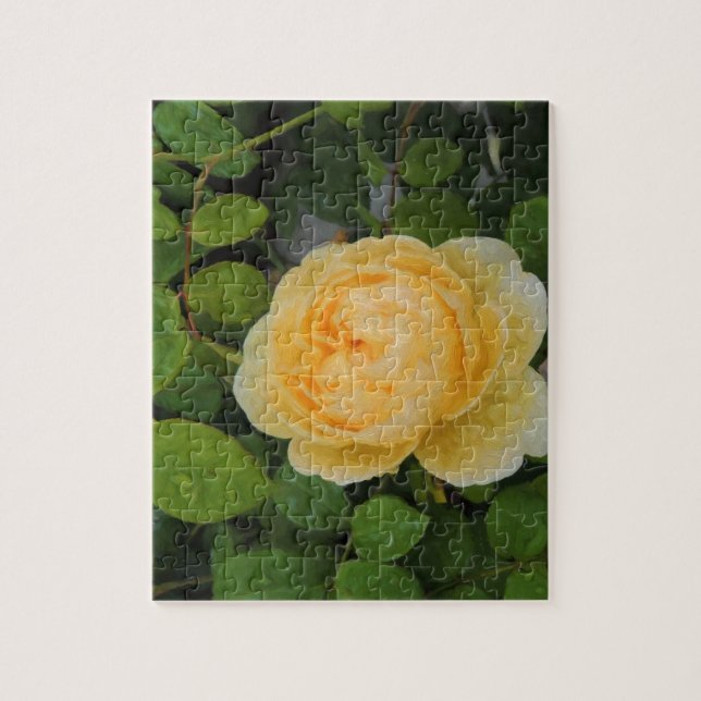 Raindrops on Yellow Rose Jigsaw Puzzle (Vertical)