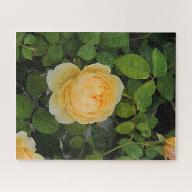 Raindrops on Yellow Rose Jigsaw Puzzle (Horizontal)