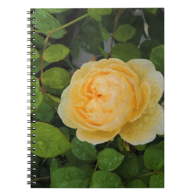 Raindrops on Yellow Rose Spiral Notebook (Front)